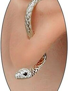NEW Snake Animal‎ Stud Earrings Unique Earrings Jewelry Punk Gothic Set Silver